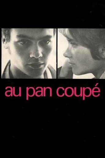 Au pan coupé poster