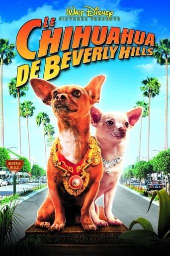 Le Chihuahua de Beverly Hills poster