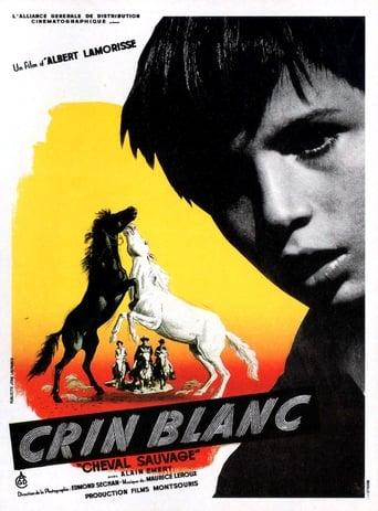 Crin blanc: Le cheval sauvage poster