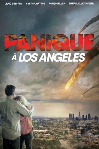 Panique à Los Angeles poster