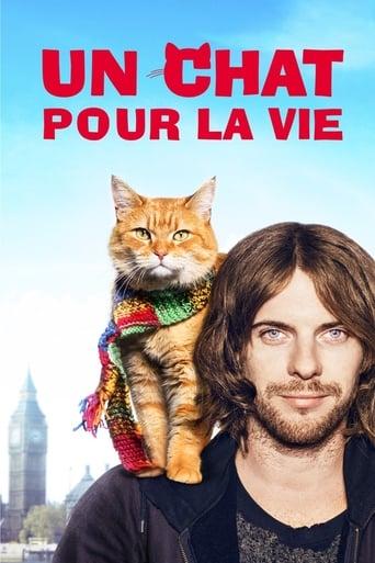 Un chat pour la vie poster