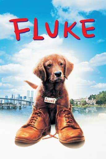 Fluke poster