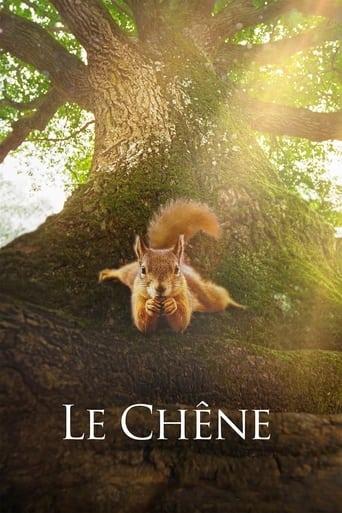 Le Chêne poster