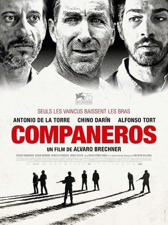 Compañeros poster