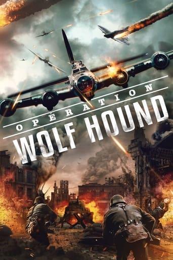 Opération Wolf Hound poster