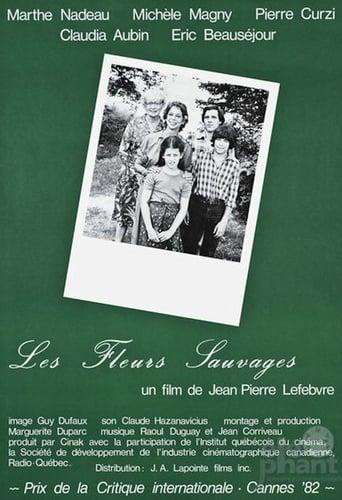 Les fleurs sauvages poster