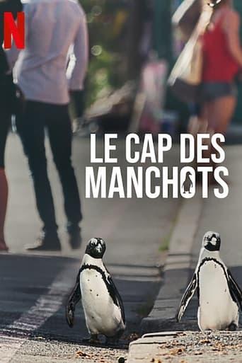 Le Cap des manchots poster