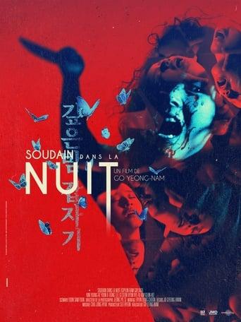 Soudain dans la nuit poster