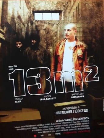 13 m² poster