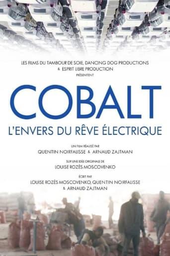 Cobalt, l'envers du rêve électrique poster