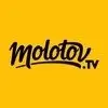 Watch Hunt for the Wilderpeople on Molotov TV