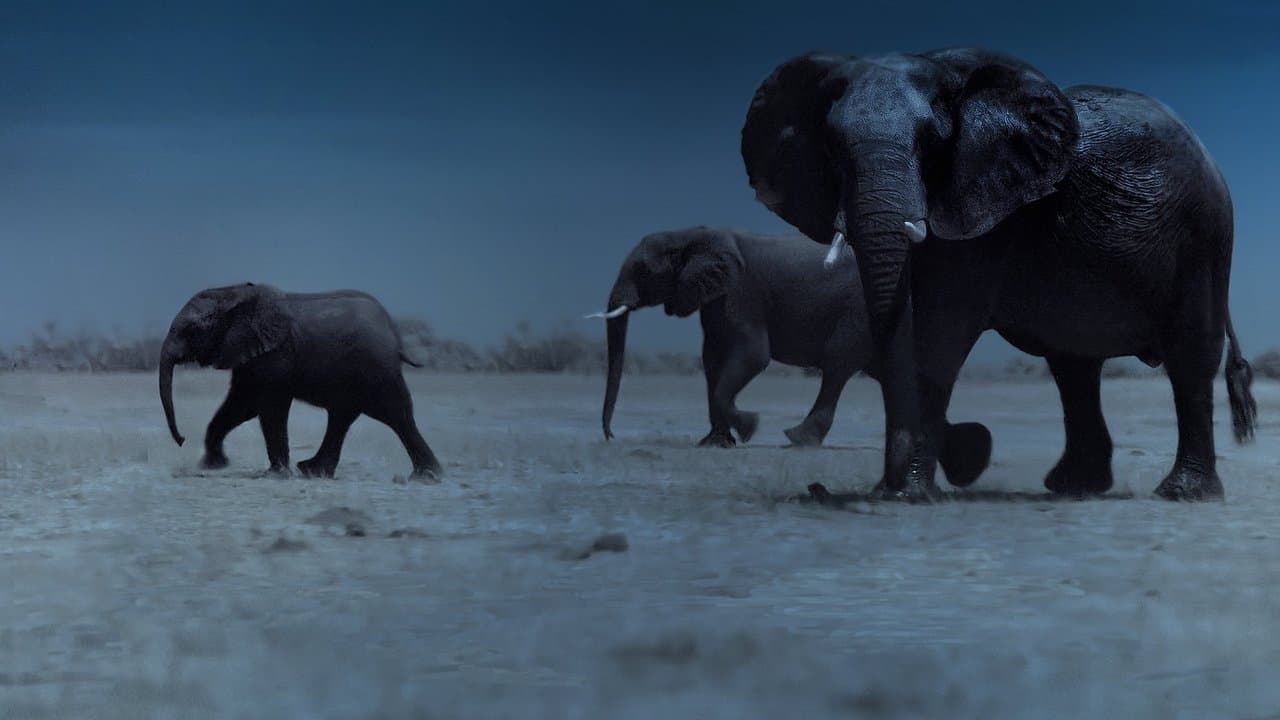 La Terre, La Nuit backdrop