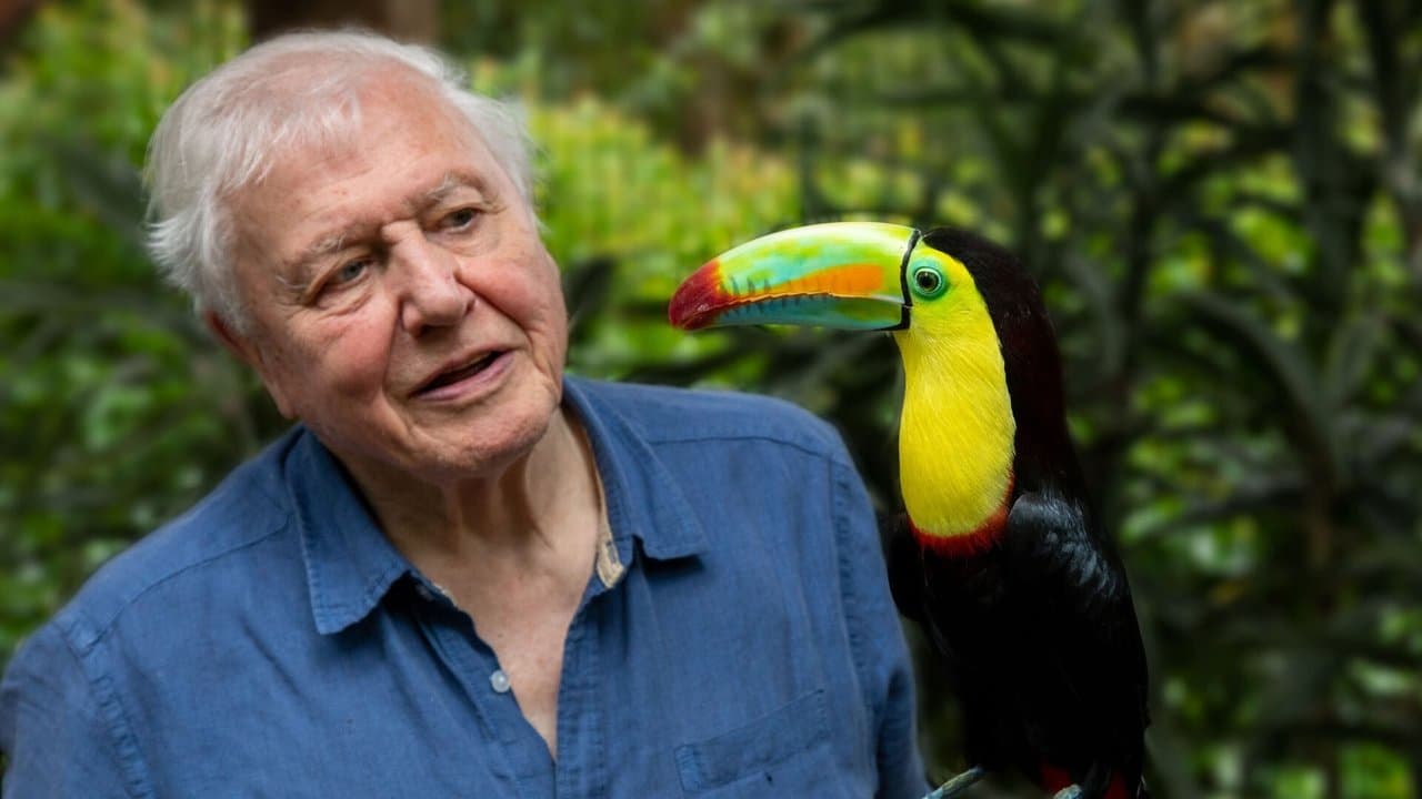 La Vie en couleurs avec David Attenborough backdrop
