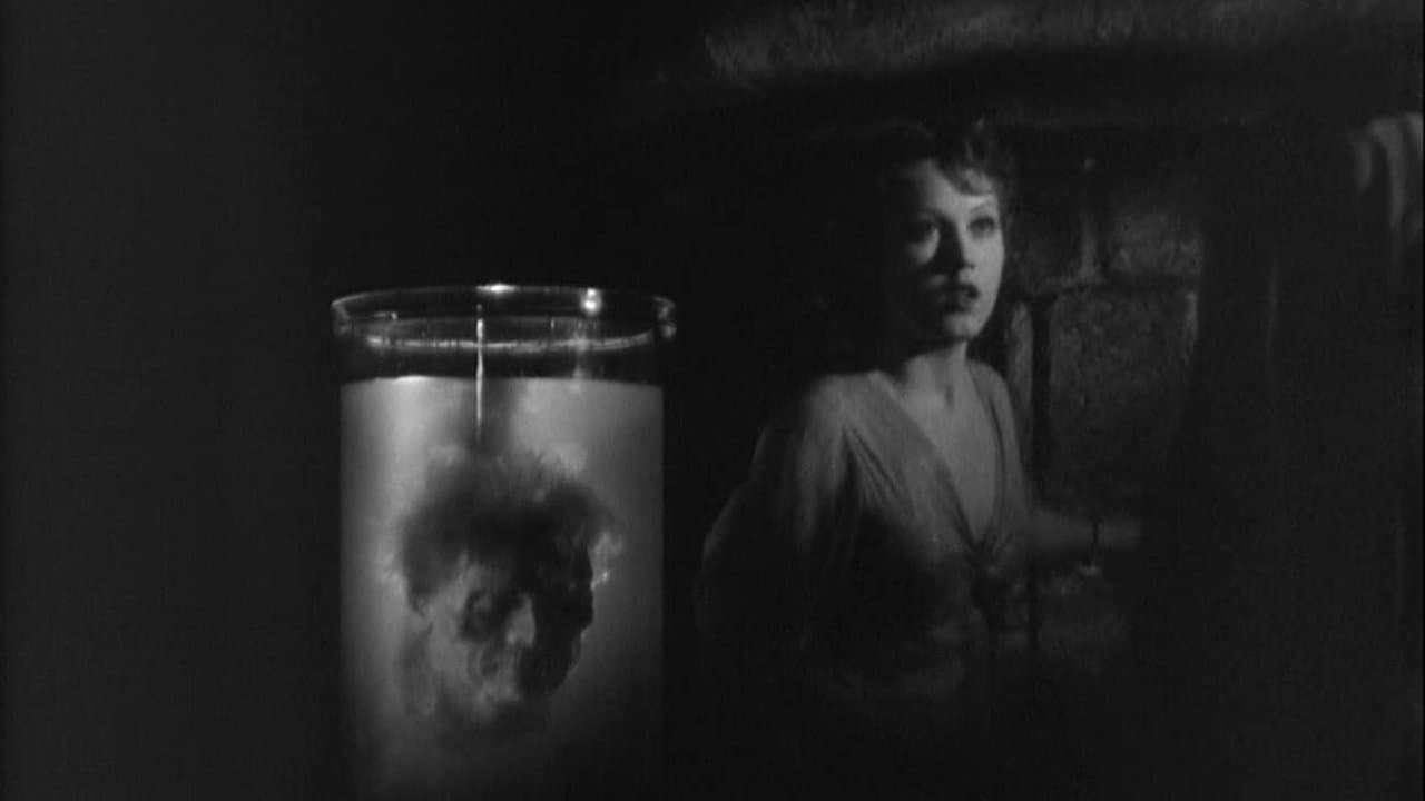 Les Chasses du comte Zaroff backdrop